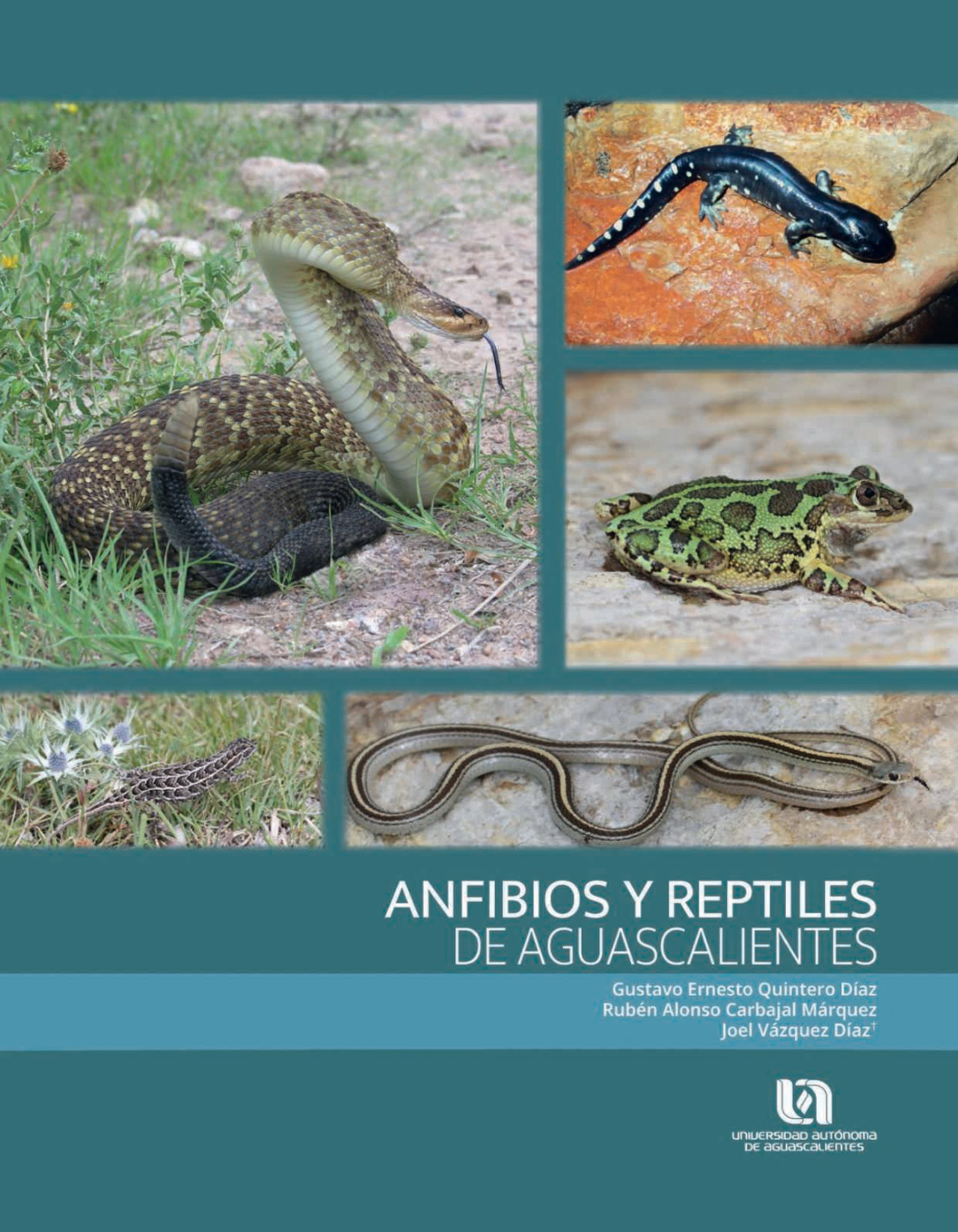 Portada: Anfibios y reptiles de Aguascalientes