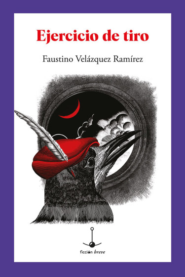 Portada: Ejercicio de tiro