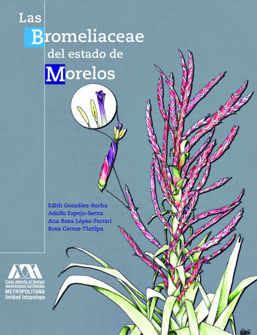 Portada: Bromeliaceae del estado de Morelos, Las
