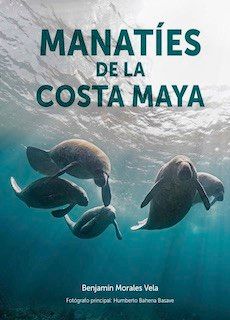 Portada: Manatíes de la costa maya