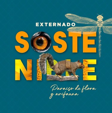 Portada: Externado sostenible