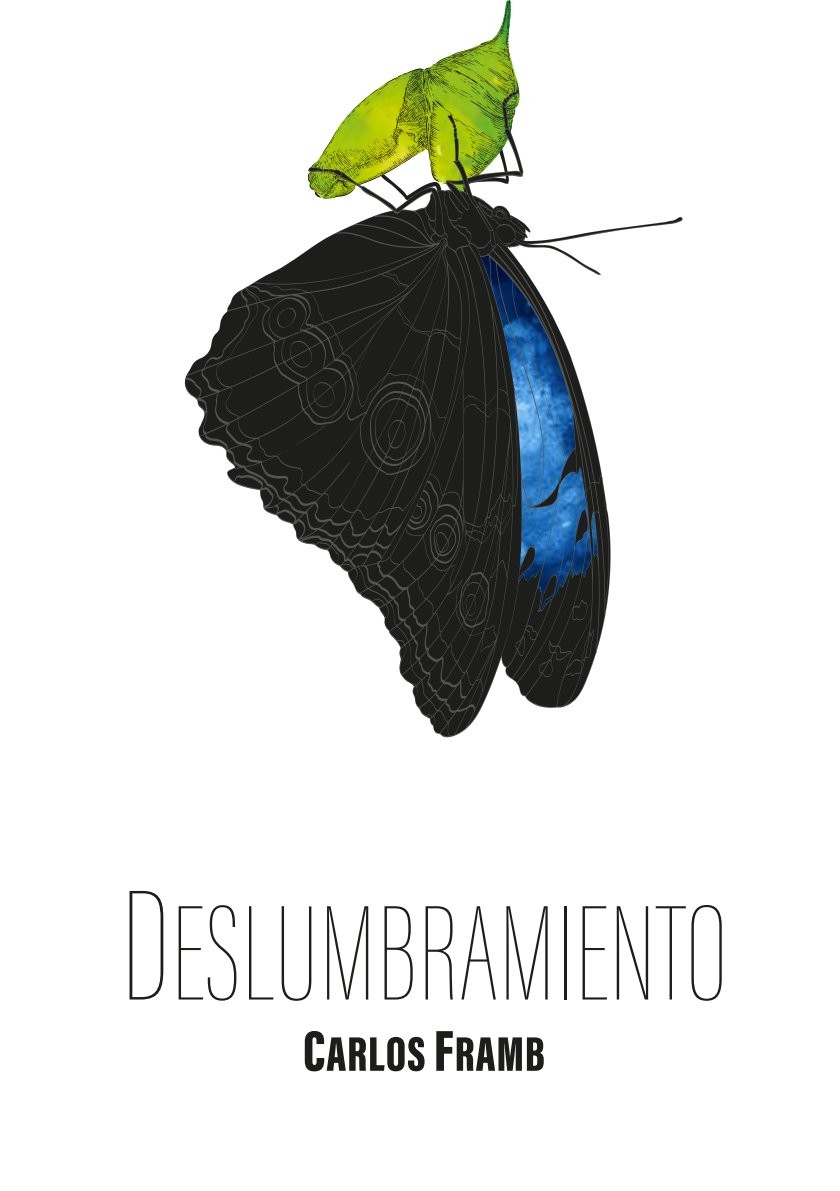Portada: Deslumbramiento