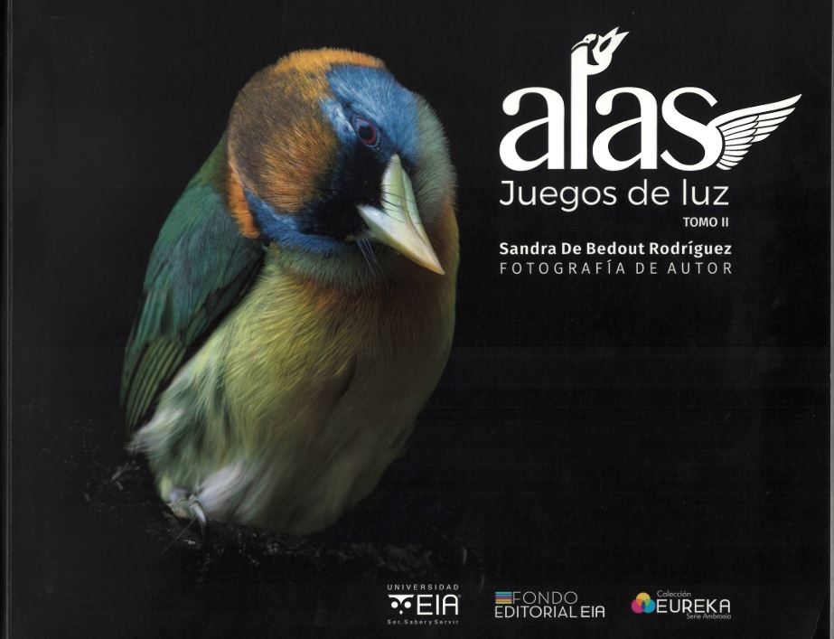 Portada: Alas juegos de luz - Tomo II