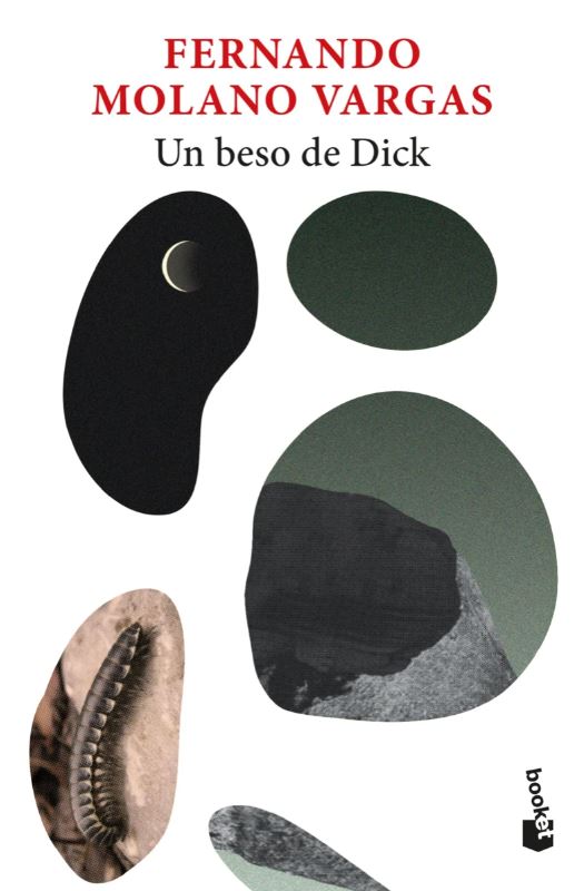 Portada: Un beso de Dick