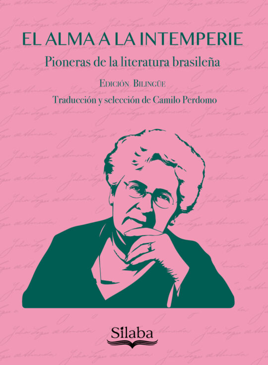 Portada: El alma a la intemperie