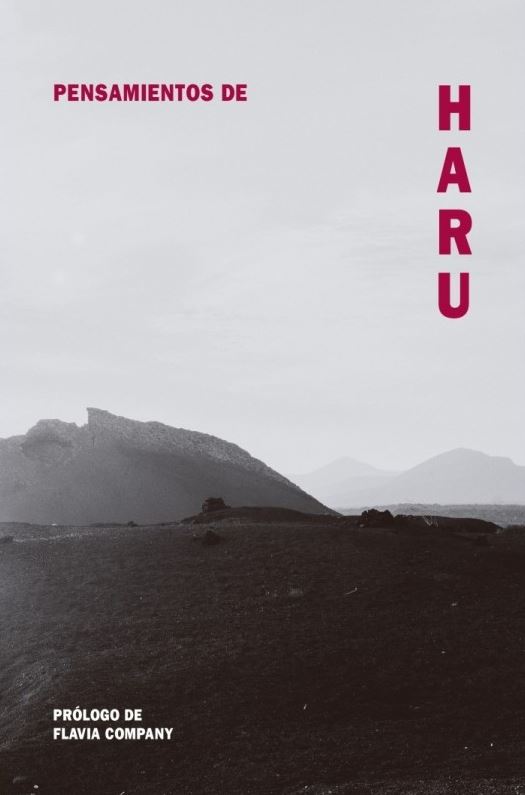 Portada de Pensamientos de Haru de Varios autores