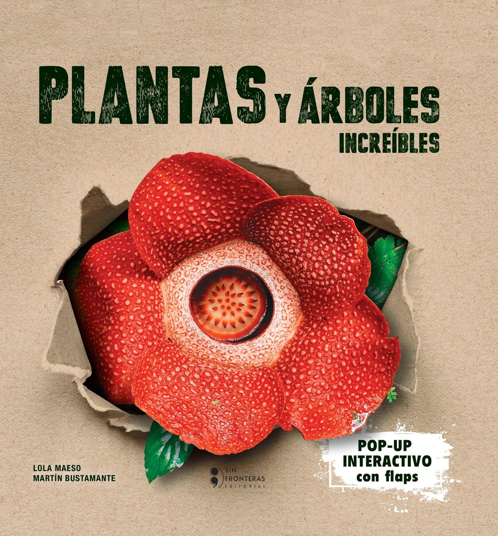 Portada: Plantas y árboles increíbles