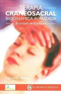 Terapia craneosacral biodinámica avanzada