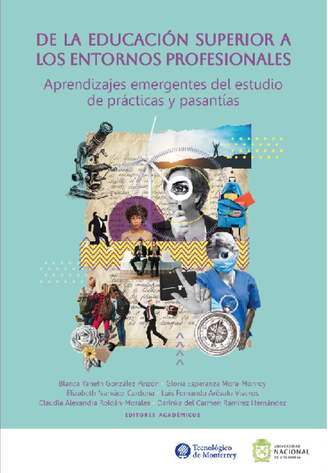 Portada: De la educación superior a los entornos profesionales: aprendizajes emergentes del estudio de las prácticas y pasantías