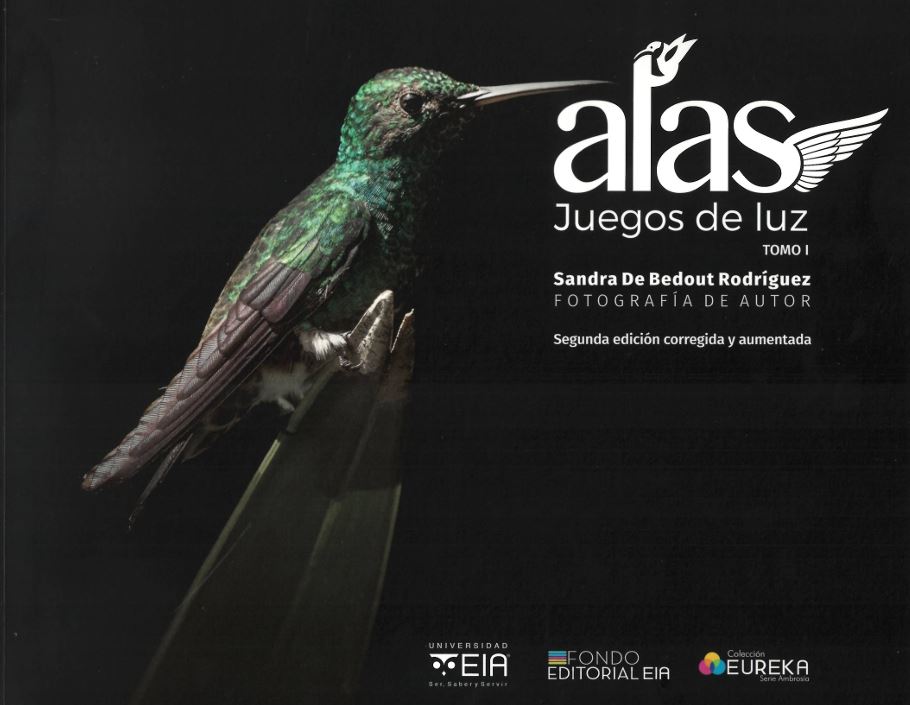 Portada: Alas juegos de luz - Tomo I