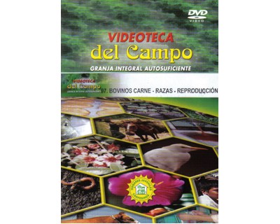 Portada: Bovinos. Carne, razas y reproducción
