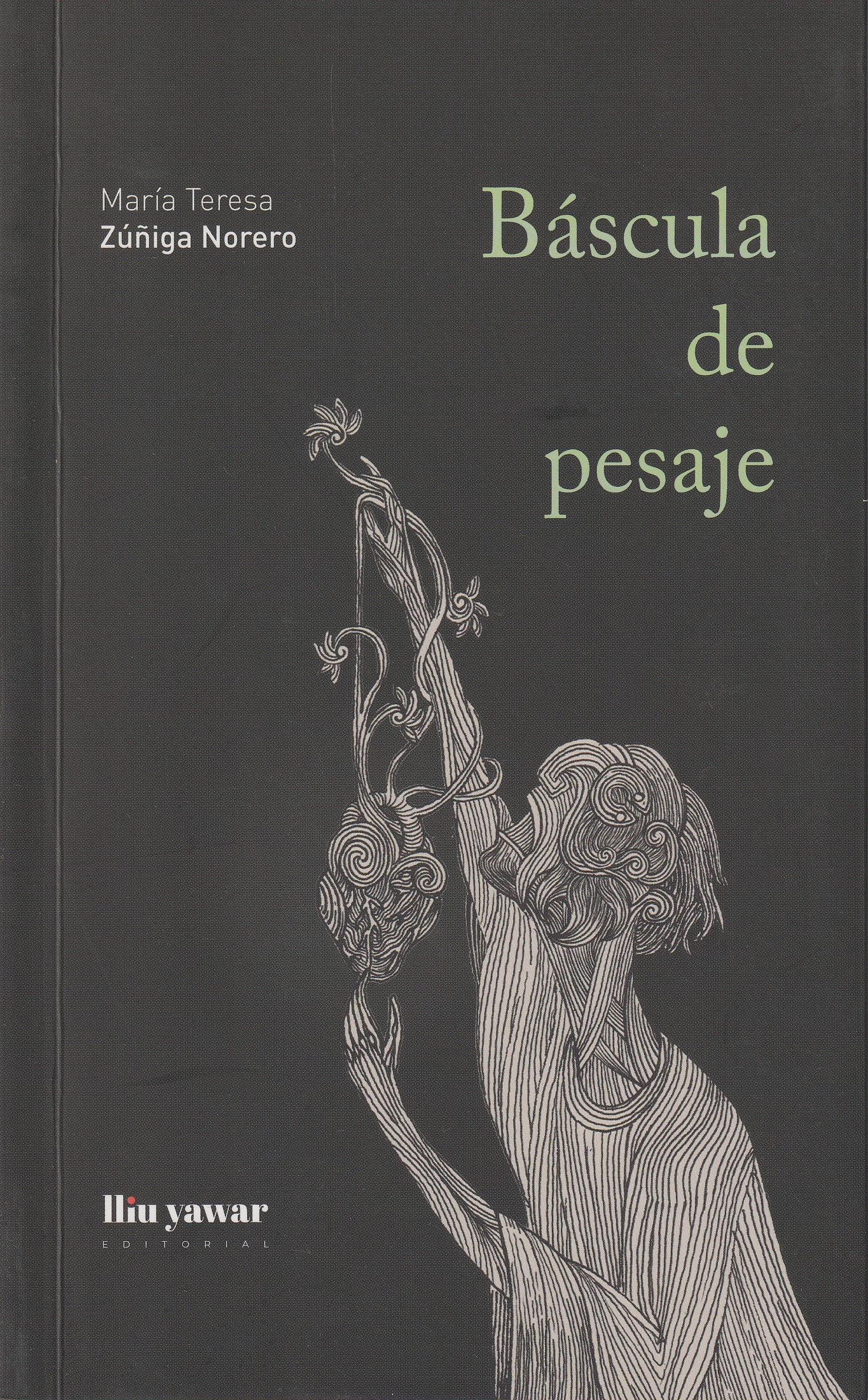 Portada: Báscula de pesaje