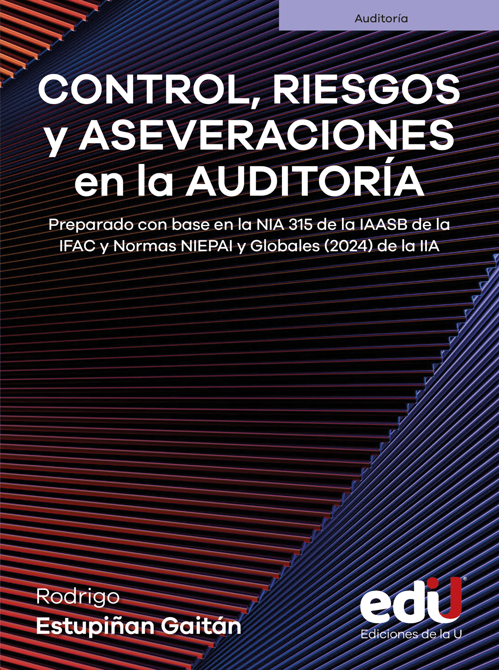 Portada: Control, riesgos y aseveraciones en la auditoría