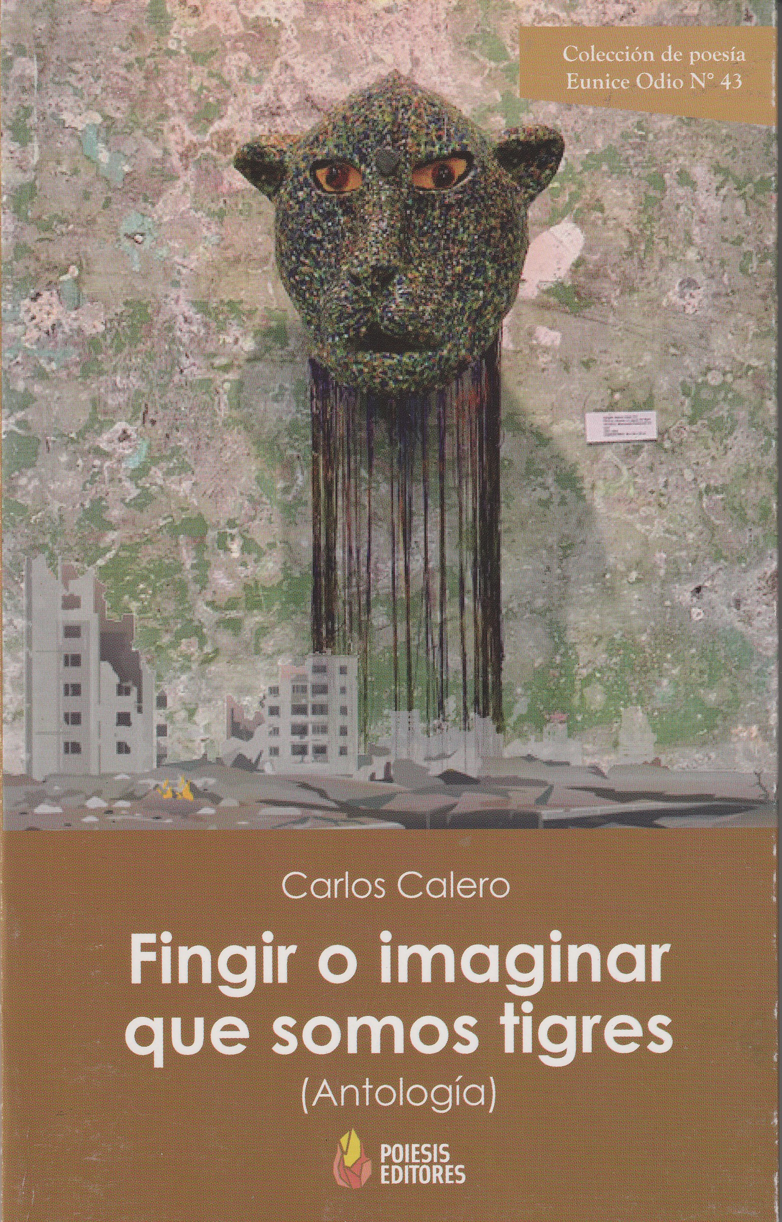 Portada: Fingir o imaginar