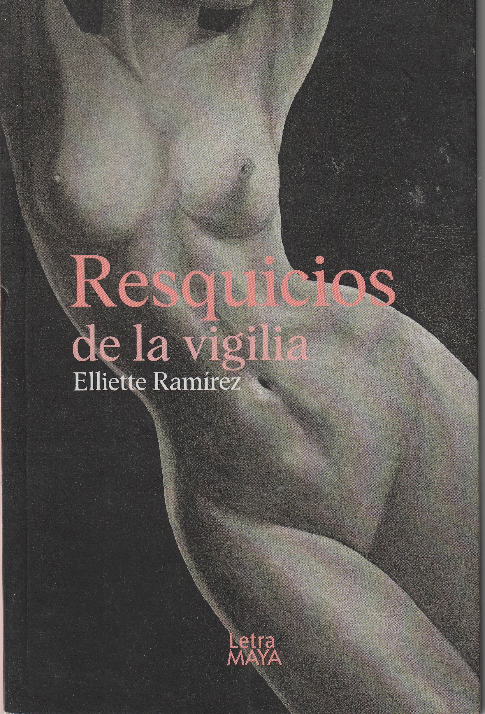Portada: Resquicios de la vigilia