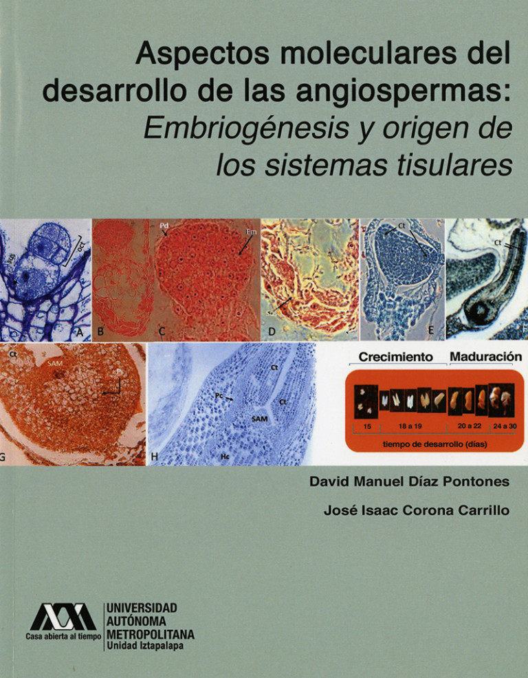 Portada: Aspectos moleculares del desarrollo de las angiospermas