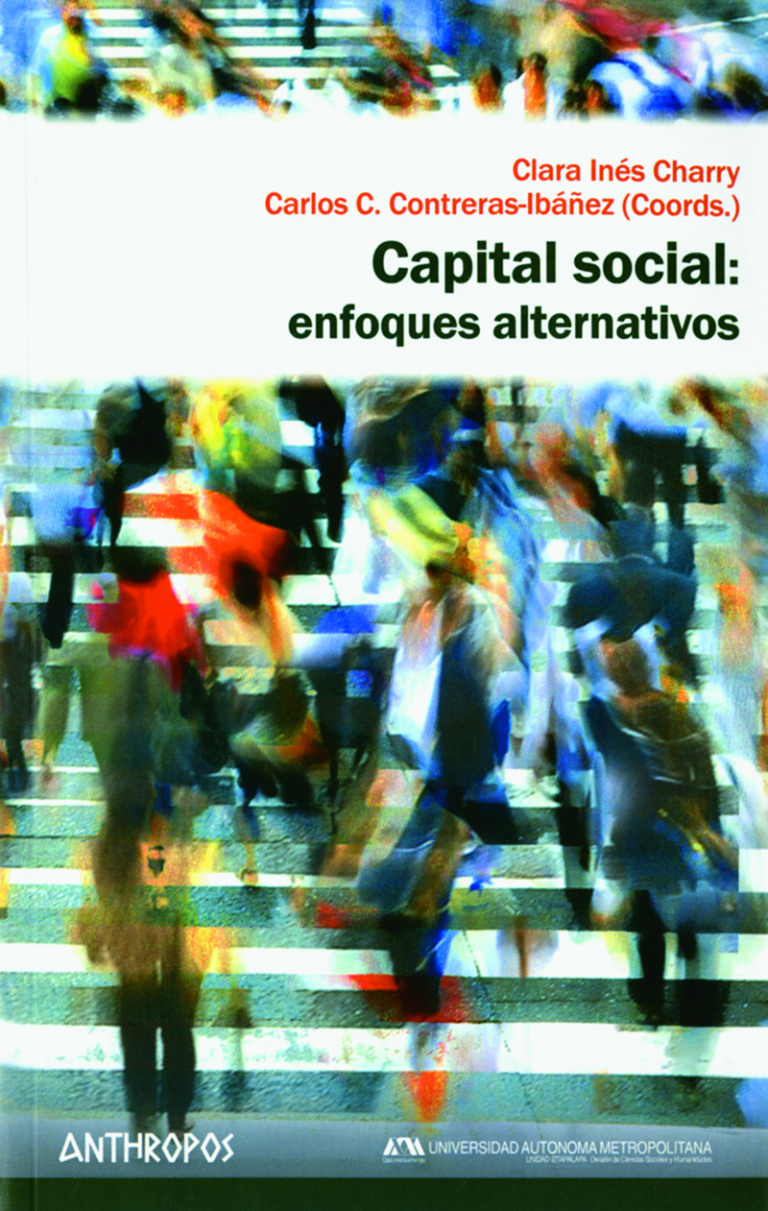 Portada: Capital social: enfoques alternativos