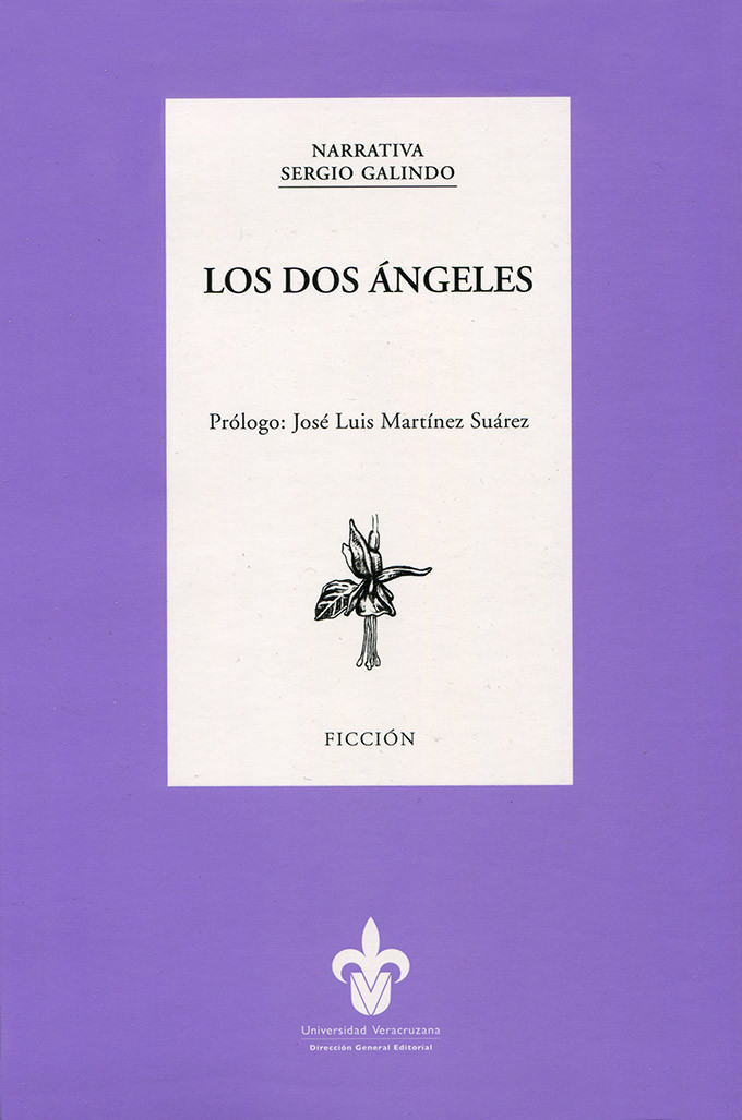 Portada: Los dos ángeles