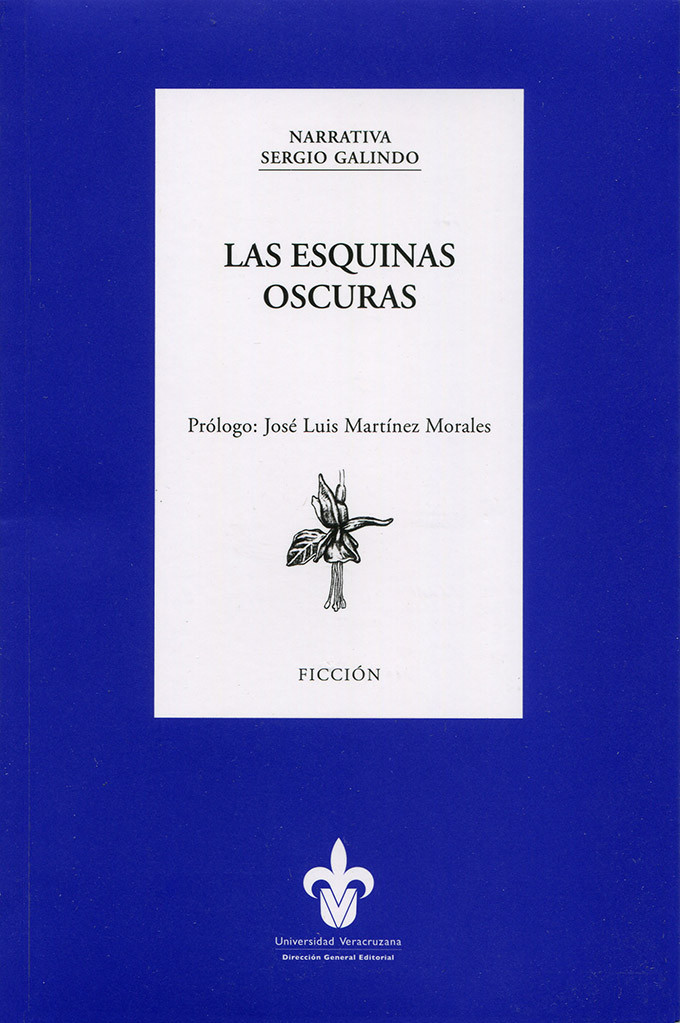 Portada: Las esquinas oscuras