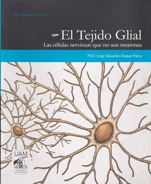 El tejido glial