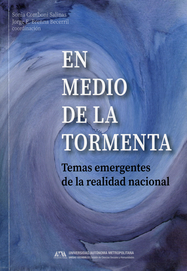 Portada: En medio de la tormenta