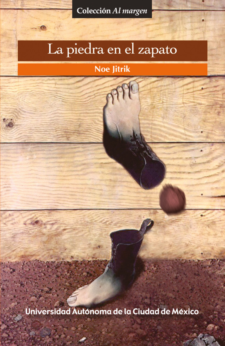 Portada: La piedra en el zapato