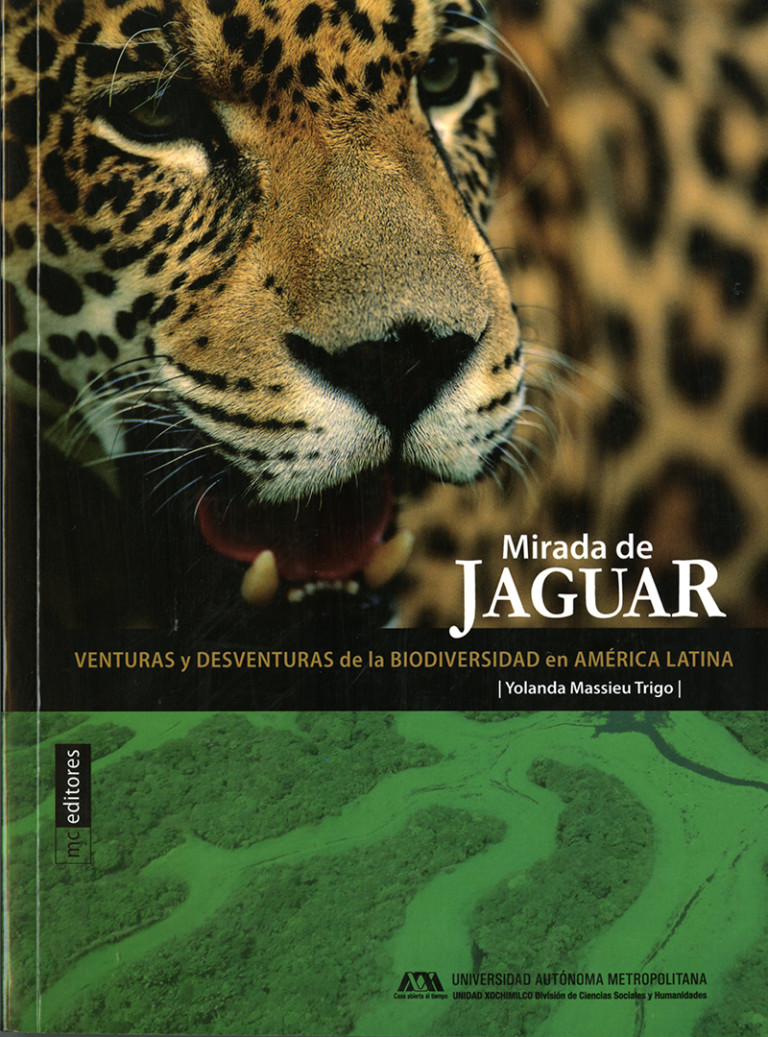 Portada: Mirada de jaguar