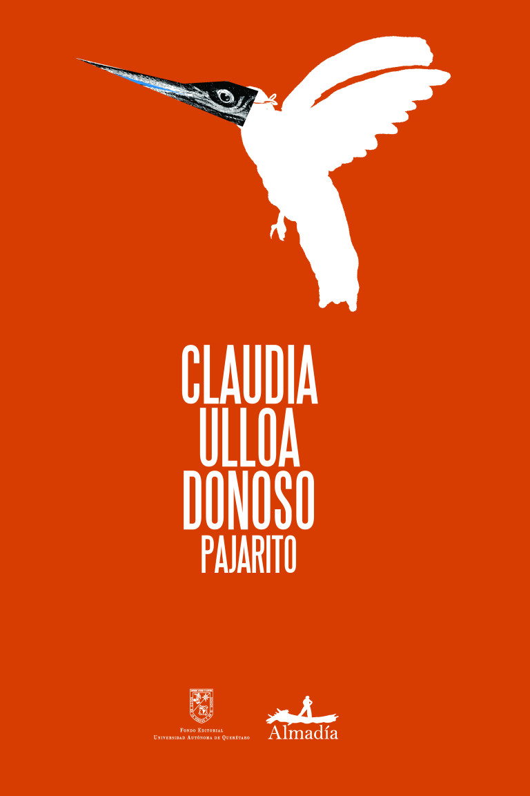 Portada: Pajarito