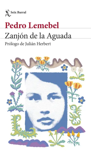 Portada: Zanjón de la Aguada