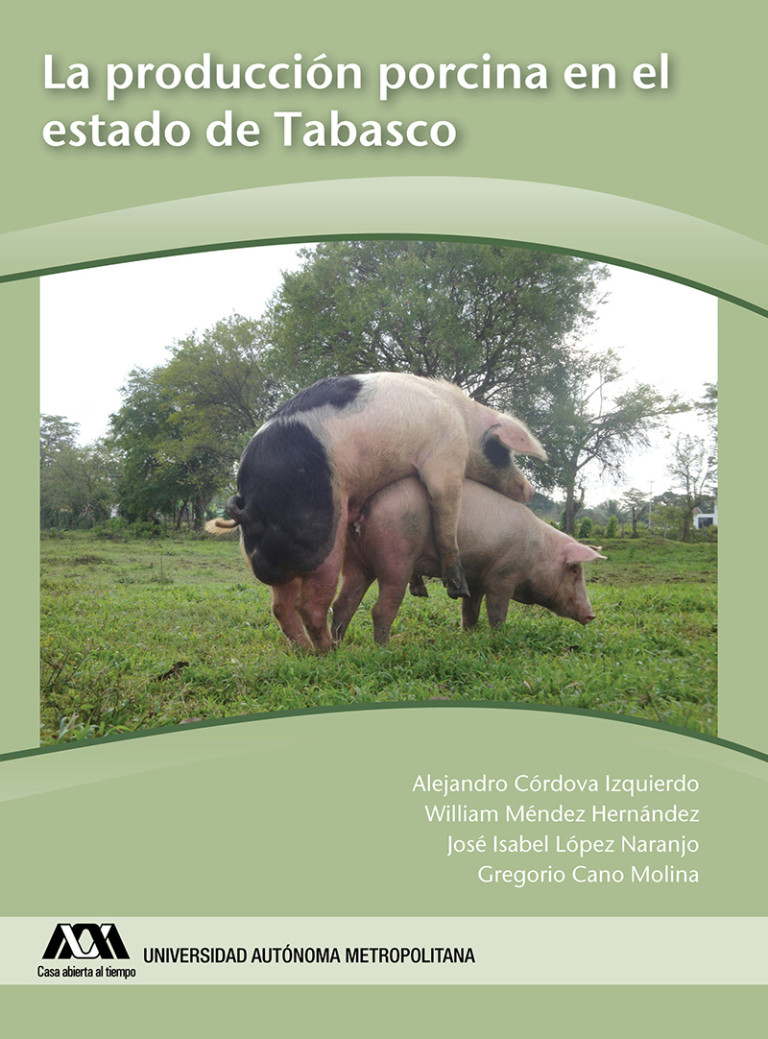 Portada: Producción porcina en el estado de Tabasco, La
