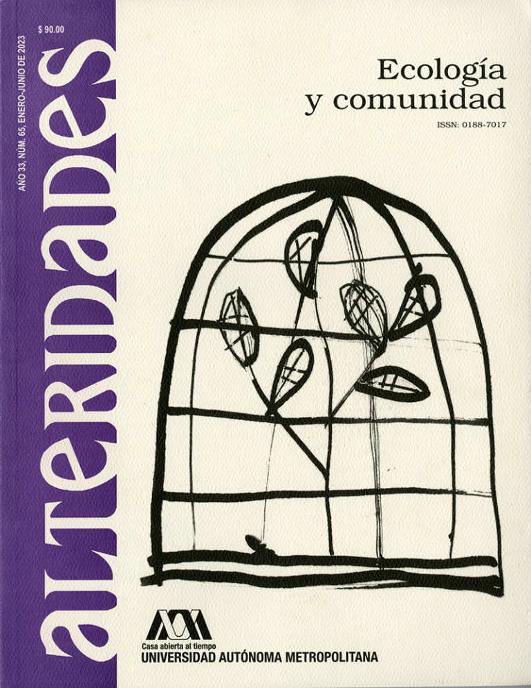 Portada: Revista Alteridades 65