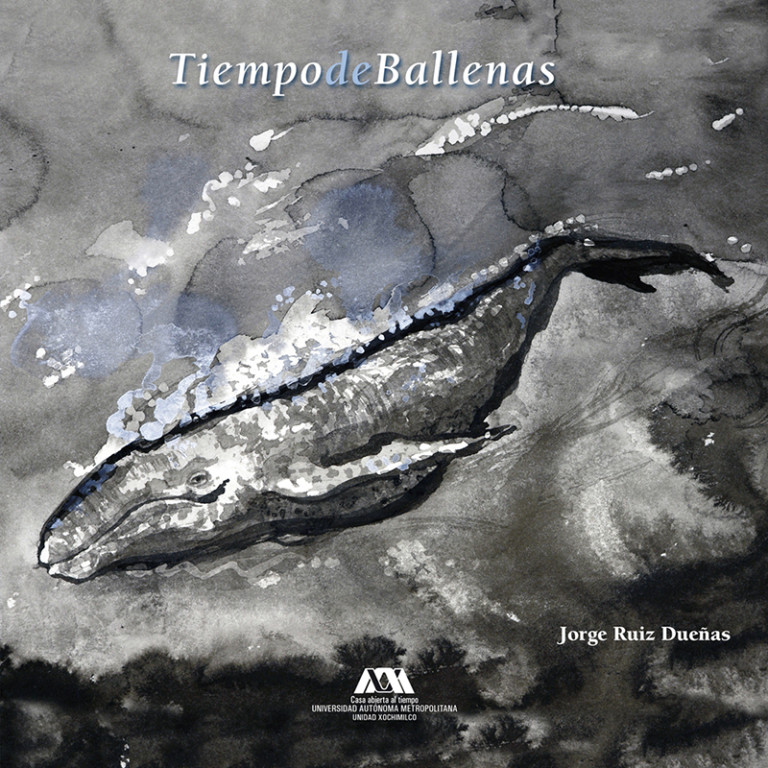 Portada: Tiempo de ballenas