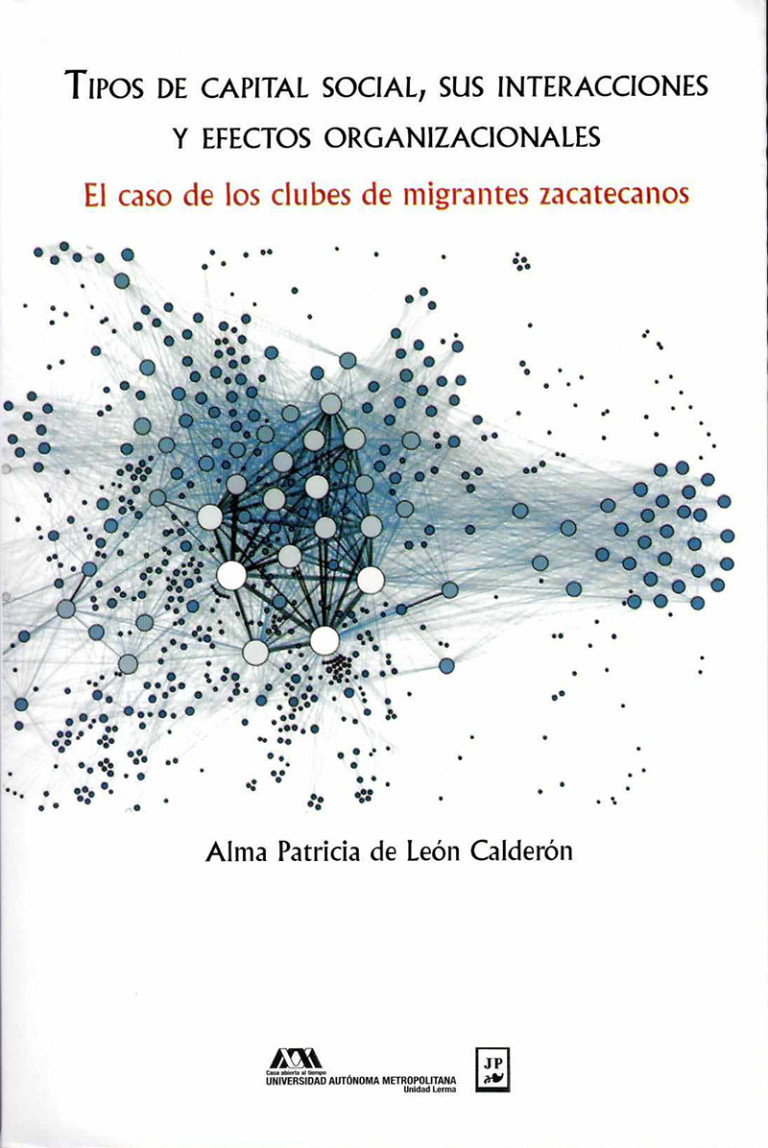 Portada: Tipos de capital social, sus interacciones y efectos organizacionales