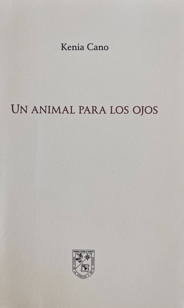 Portada: Un animal para los ojos