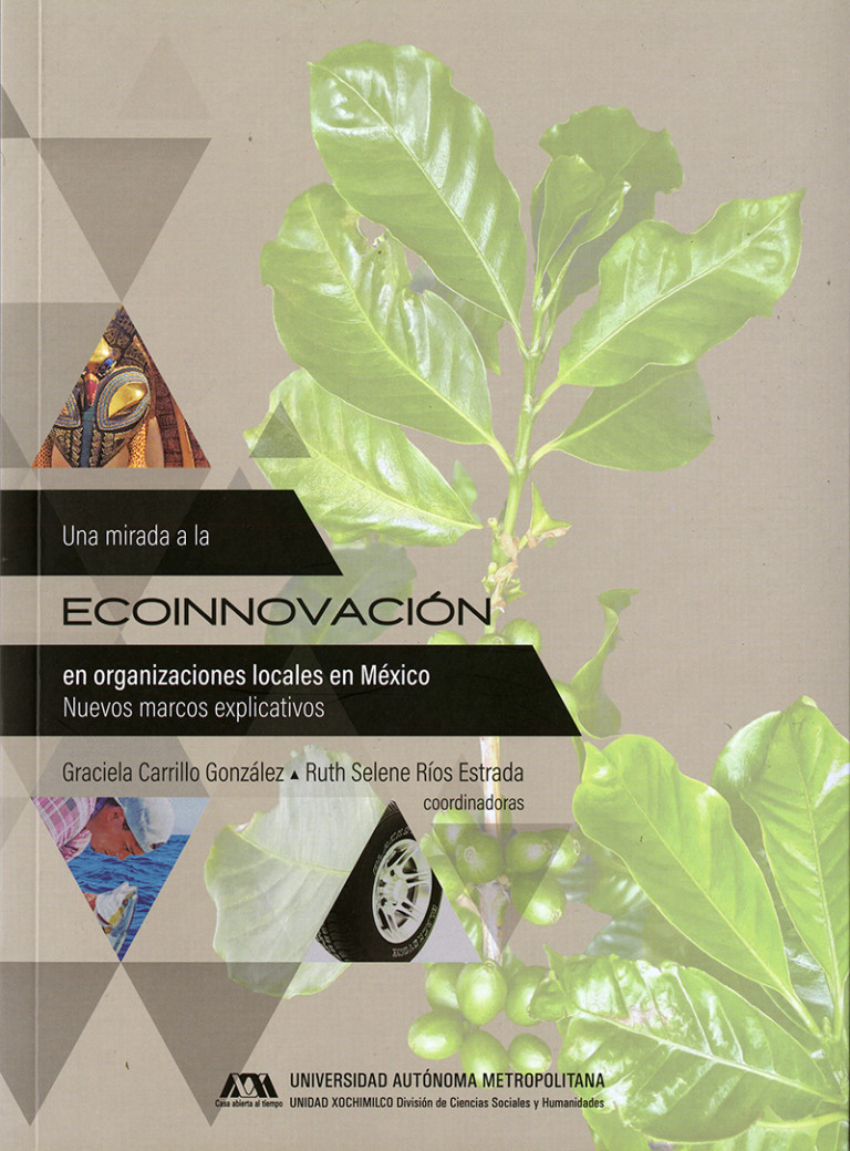 Portada: Una mirada a la ecoinnovación en organizaciones locales en México